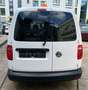 Volkswagen Caddy 1.4 TSI Maxi Kasten BMT PDC Lang LKW Euro6 Blanc - thumbnail 6