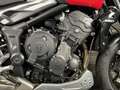 Triumph Trident 660 2025 DIABLO RED Rood - thumbnail 5