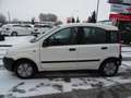 Fiat Panda 1.1 8V Active Weiß - thumbnail 10