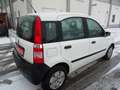 Fiat Panda 1.1 8V Active Weiß - thumbnail 6