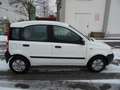 Fiat Panda 1.1 8V Active Weiß - thumbnail 7