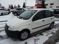 Fiat Panda 1.1 8V Active Weiß - thumbnail 3