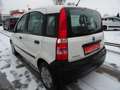 Fiat Panda 1.1 8V Active Weiß - thumbnail 4