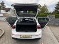 Volkswagen Golf VIII Lim. Life NAVI LED PDC 1.Hand Weiß - thumbnail 8