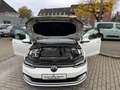 Volkswagen Golf VIII Lim. Life NAVI LED PDC 1.Hand Weiß - thumbnail 18