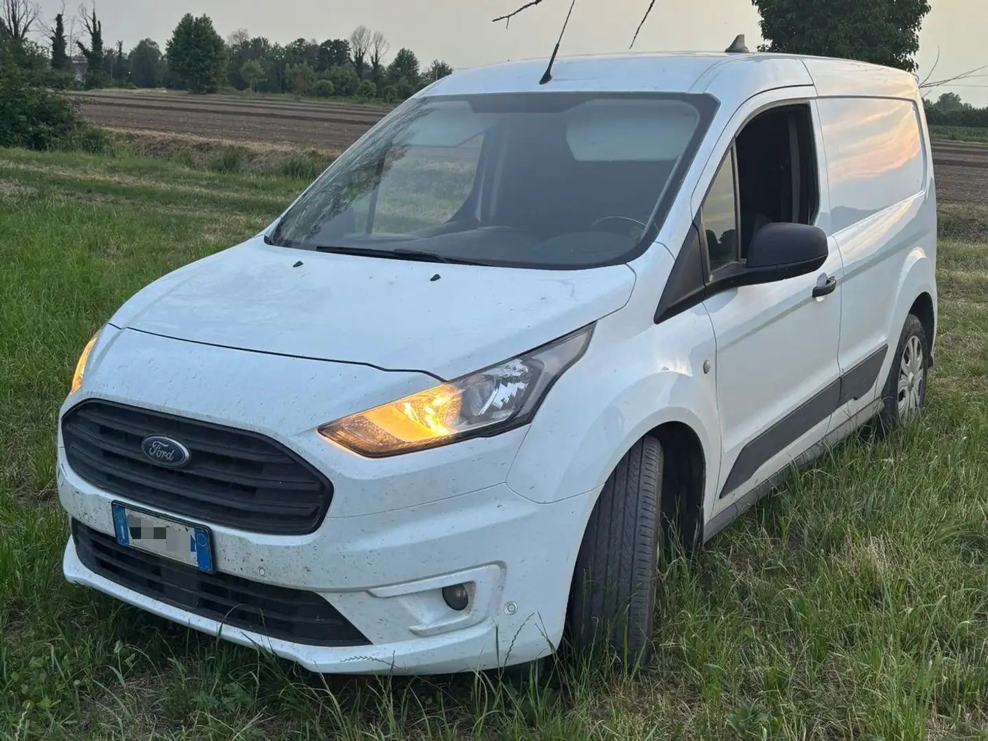 Ford Transit Connect Alb - 2