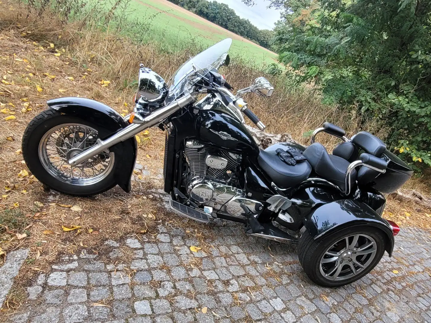 Rewaco CT 800 S Zwart - 2