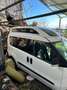 Fiat Doblo 1.6 mjt 16v Active 90cv per disabili con pedana Bianco - thumbnail 4