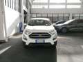 Ford EcoSport 1.0 ecoboost Plus 100cv my19 Bianco - thumbnail 5