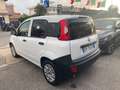 Fiat Panda VAN 1.0 Hybrid AUTOCARRO 2posti POP - Prezzo Reale Blanc - thumbnail 3