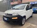 Fiat Panda VAN 1.0 Hybrid AUTOCARRO 2posti POP - Prezzo Reale Blanc - thumbnail 1