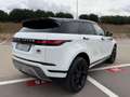 Land Rover Range Rover Evoque 2.0D MHEV HYBRID 150 CV AWD+VIRTUAL+PELLE+20'' Bianco - thumbnail 8