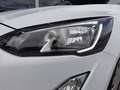 Ford Focus Turnier C&C 1,5 EcoBlue *LED / NAVI / ACC / SPO... Weiß - thumbnail 13