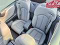 Mercedes-Benz CLK CLK 200 Kompressor TPS Cabrio Avantgarde Nero - thumbnail 12