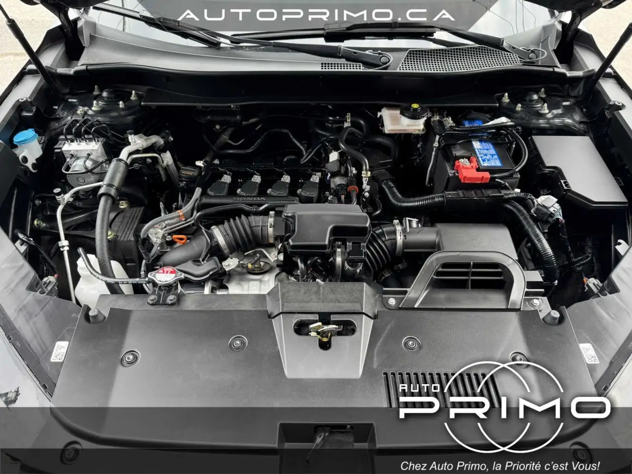 Honda CR-V fotografie Honda CR-V