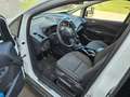 Ford C-Max C-MAX Titanium 1,0 EcoBoost Titanium Weiß - thumbnail 6