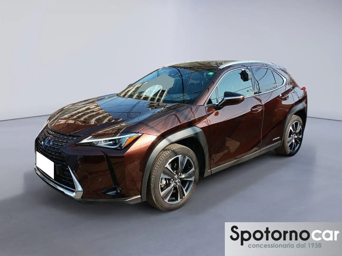 Lexus UX 250h Hybrid Premium Marrone - 1