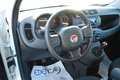 Fiat Panda 1.0 firefly hybrid s&s 70cv - thumbnail 8