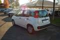 Fiat Panda 1.0 firefly hybrid s&s 70cv - thumbnail 5
