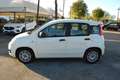 Fiat Panda 1.0 firefly hybrid s&s 70cv - thumbnail 4