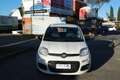 Fiat Panda 1.0 firefly hybrid s&s 70cv - thumbnail 2