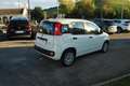 Fiat Panda 1.0 firefly hybrid s&s 70cv - thumbnail 6