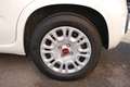 Fiat Panda 1.0 firefly hybrid s&s 70cv - thumbnail 16