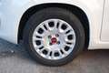Fiat Panda 1.0 firefly hybrid s&s 70cv - thumbnail 15