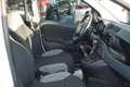 Fiat Panda 1.0 firefly hybrid s&s 70cv - thumbnail 11