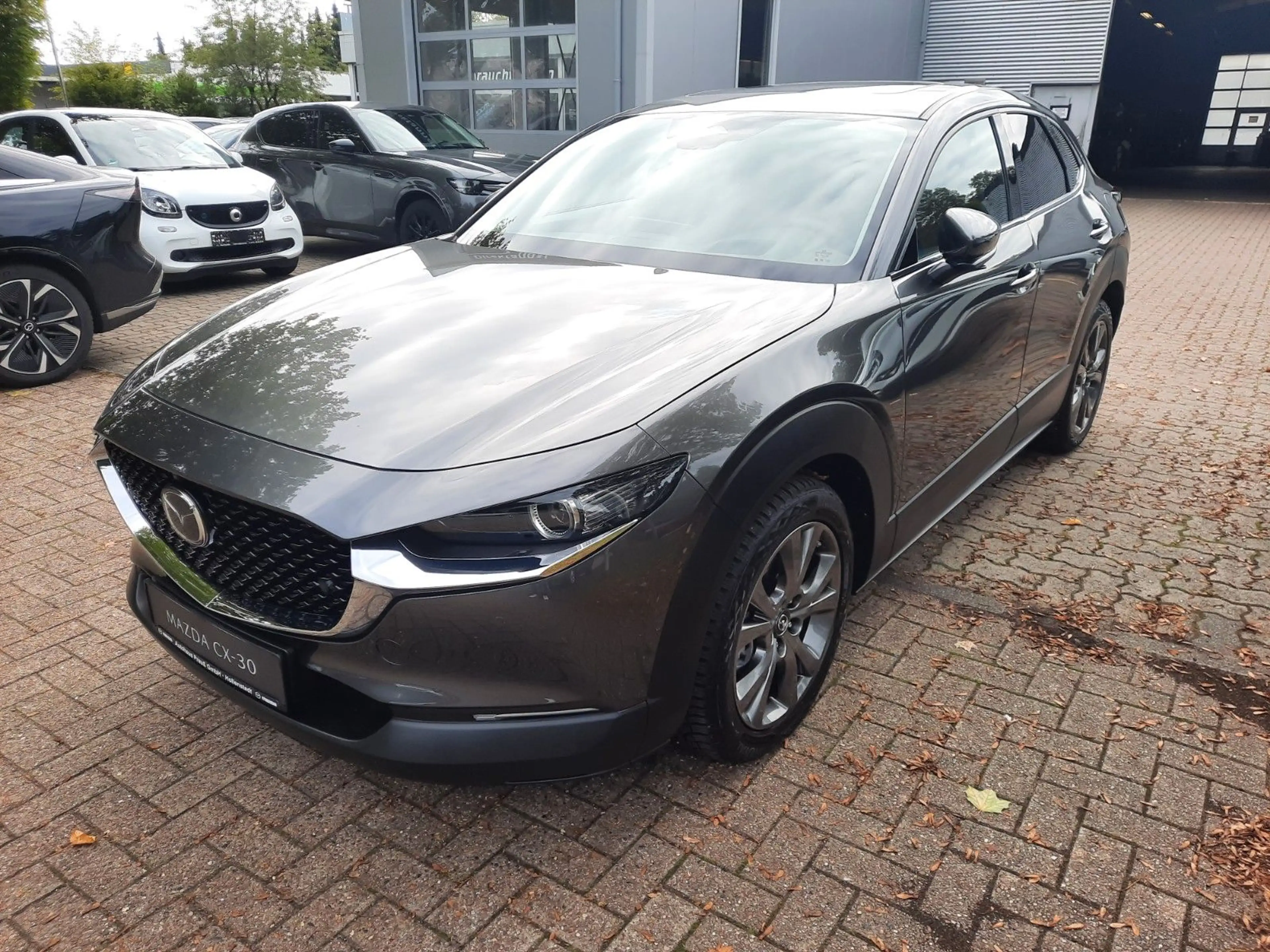 Mazda CX-30 e-SKYACTIV X 186 6AT Takumi SUNR BLOP AHK — photo 5