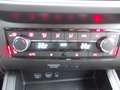 SEAT Ibiza Ibiza 1.0 TSI Style NAVI-CRUISE-DAB Rood - thumbnail 14