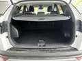 Hyundai TUCSON 1.6 T-GDi HEV 2WD Trend Bianco - thumbnail 9