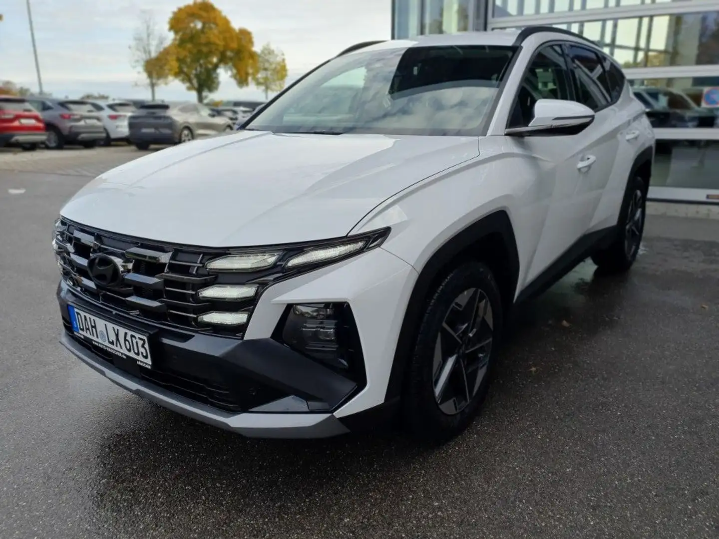 Hyundai TUCSON 1.6 T-GDi HEV 2WD Trend Bianco - 1