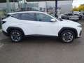 Hyundai TUCSON 1.6 T-GDi HEV 2WD Trend Bianco - thumbnail 4