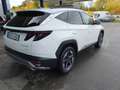 Hyundai TUCSON 1.6 T-GDi HEV 2WD Trend Bianco - thumbnail 5
