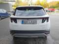 Hyundai TUCSON 1.6 T-GDi HEV 2WD Trend Bianco - thumbnail 6