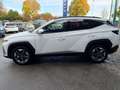 Hyundai TUCSON 1.6 T-GDi HEV 2WD Trend Bianco - thumbnail 8