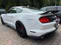 Ford Mustang Shelby GT500 *Original* Blanc - thumbnail 6