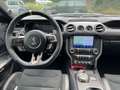 Ford Mustang Shelby GT500 *Original* Blanc - thumbnail 8