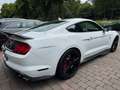 Ford Mustang Shelby GT500 *Original* Blanc - thumbnail 4