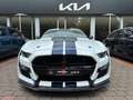 Ford Mustang Shelby GT500 *Original* Blanc - thumbnail 2