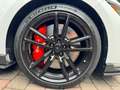 Ford Mustang Shelby GT500 *Original* Blanc - thumbnail 18