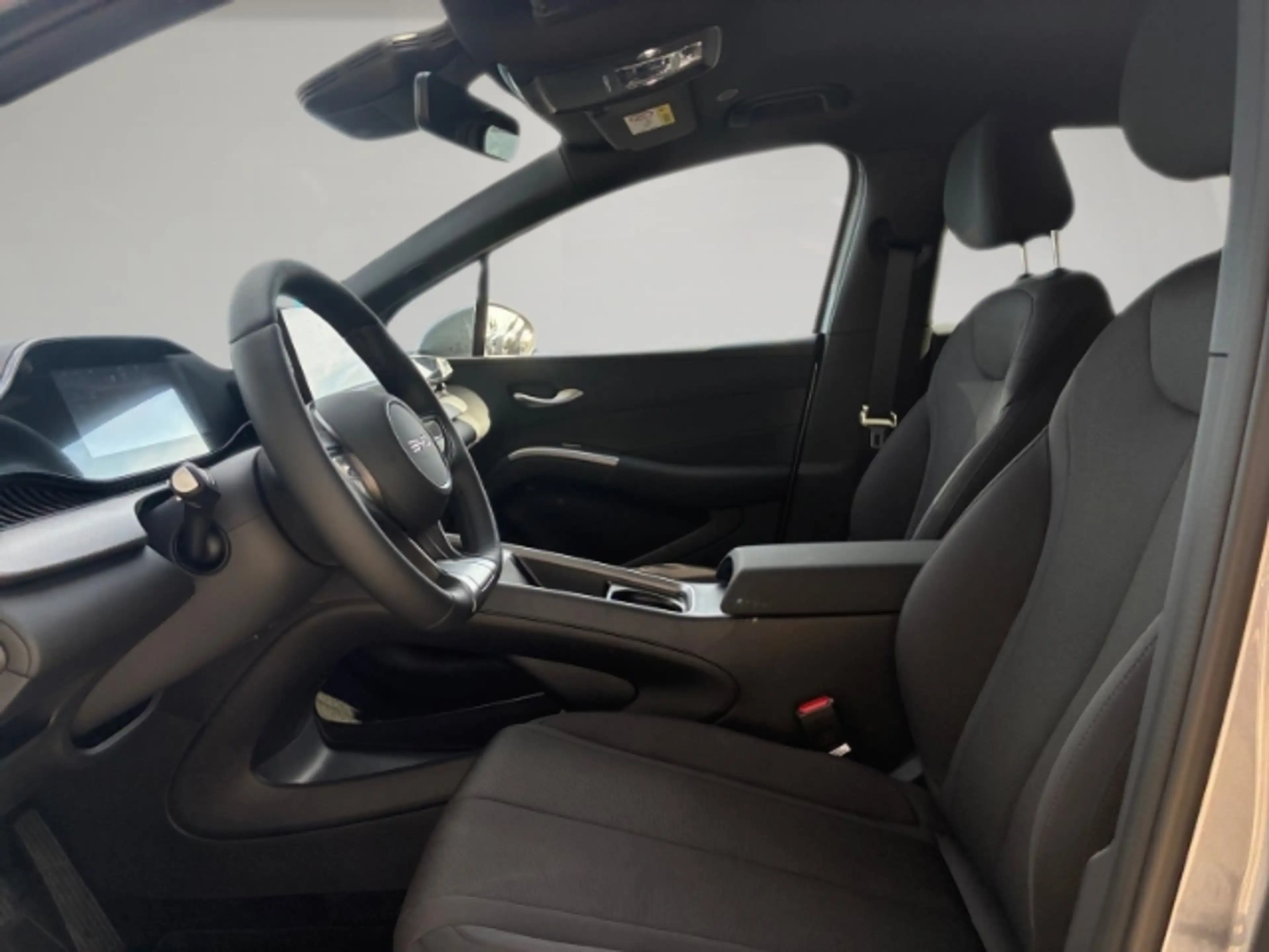BYD Dolphin G 1.5 Boost Sitzheizung/Klimaautomatik/Navi/Rückfahr — photo 8