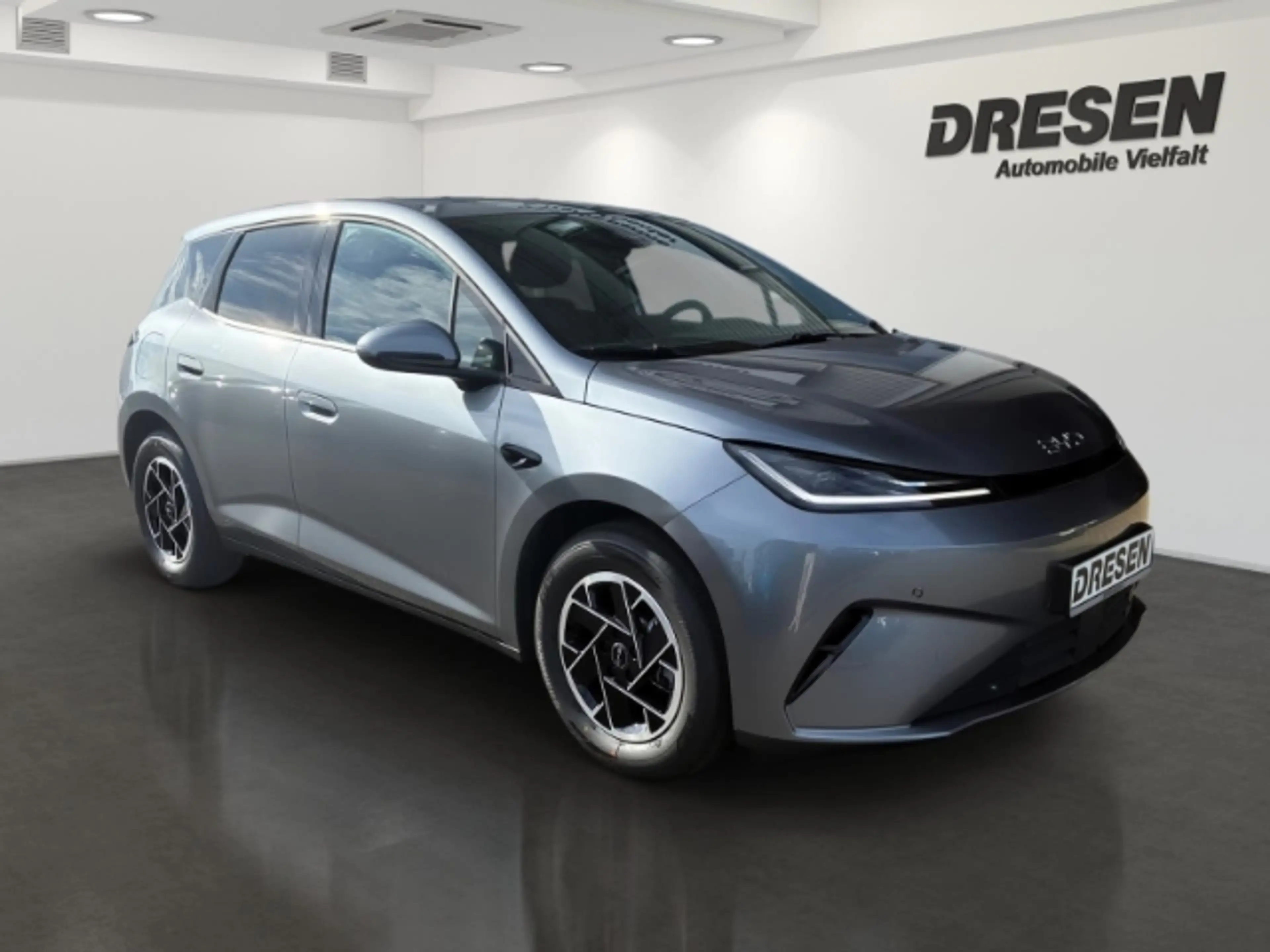 BYD Dolphin G 1.5 Boost Sitzheizung/Klimaautomatik/Navi/Rückfahr — photo 3