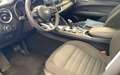 Alfa Romeo Stelvio 2.2 TD 160CV -AUTOCARRO- TETTO APRIBILE - thumbnail 9