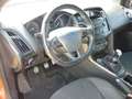 Ford Focus 1.0 ST-Line Sitzheizung! PDC! Rojo - thumbnail 12