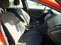 Ford Focus 1.0 ST-Line Sitzheizung! PDC! Rojo - thumbnail 11
