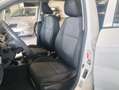 Kia Picanto Picanto 1.0 Glam Gpl 67cv  E6 Tagliandi uniprò! Bianco - thumbnail 8