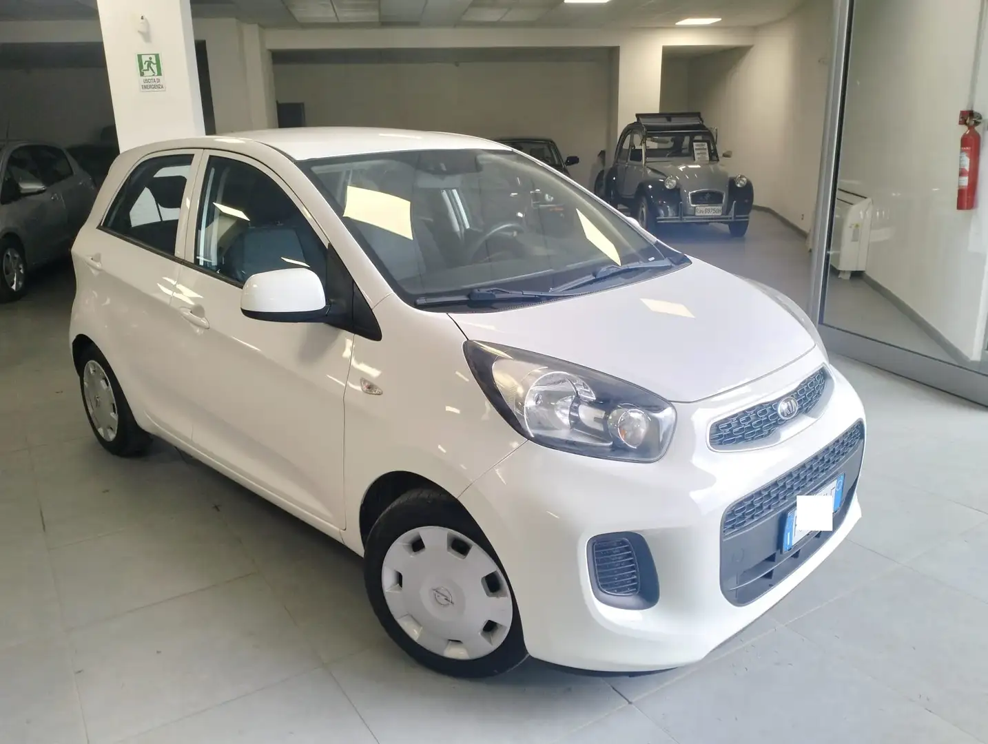 Kia Picanto Picanto 1.0 Glam Gpl 67cv  E6 Tagliandi uniprò! Bianco - 1