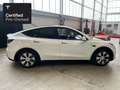 Tesla Model Y Rear-Wheel Drive “Certified Pre-Owned” Blanco - thumbnail 11